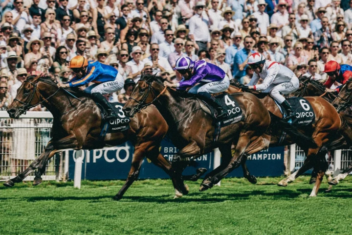 Group of jockeys racing thoroughbred horses closely together on a grass track