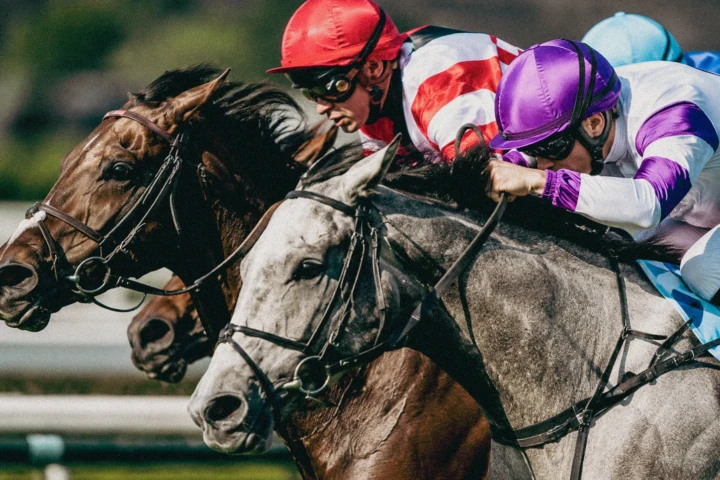 Three jockeys leaning forward as their racehorses compete closely during a flat race