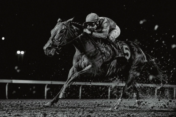 Jockey crouched over racehorse number five during a wet night race